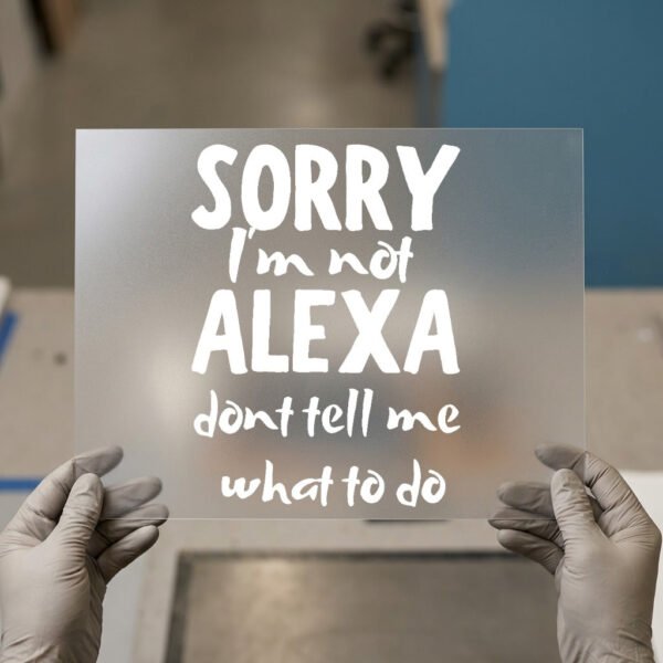Sorry, I'm Not Alexa DTF transfer, ready to press