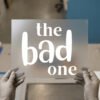 the bad one — for dark garments